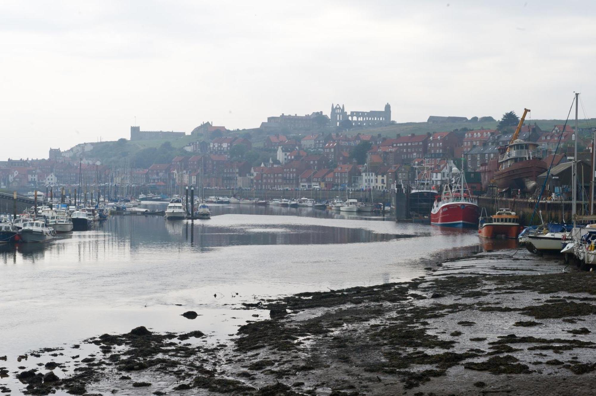 Watermark Apartments Whitby Bilik gambar